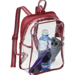 Sigma Clear Mini Backpack