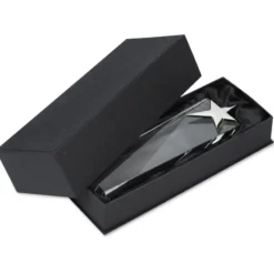 Silver Star Crystal Award