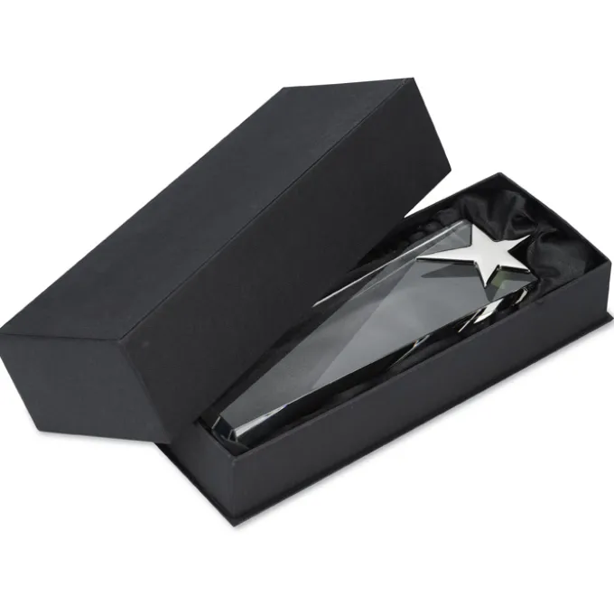Silver Star Crystal Award