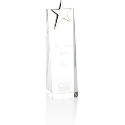 Silver Star Crystal Award