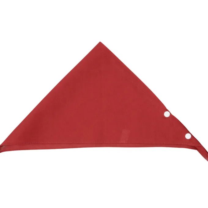 Snap and Go Pet Triangles - Small