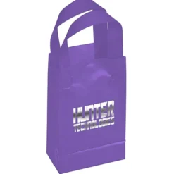 Soft-Loop Frosted Shopper - 8 inches x 5 inches - Foil