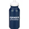 Sport Bottle with Push Pull Lid - 20 oz - Metallic