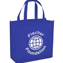 Spree Shopping Tote - 13 inches x 13 inches
