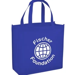 Spree Shopping Tote - 13 inches x 13 inches - 24 hr