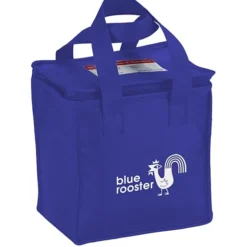 Square Non-Woven Lunch Bag