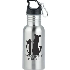 Stainless Adventure Bottle - 18 oz