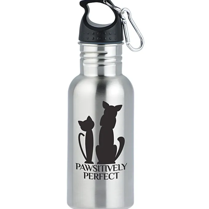 Stainless Adventure Bottle - 18 oz