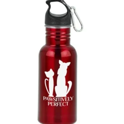 Stainless Adventure Bottle - 18 oz