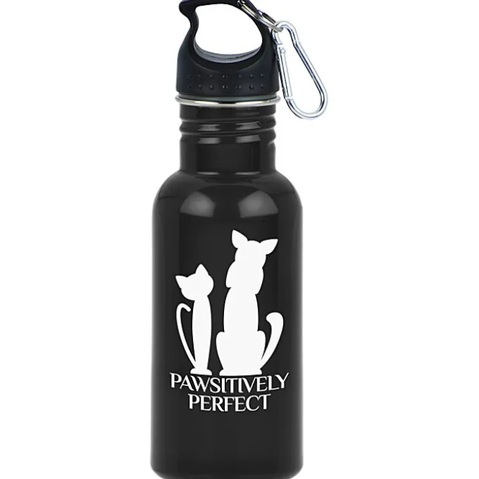 Stainless Adventure Bottle - 18 oz