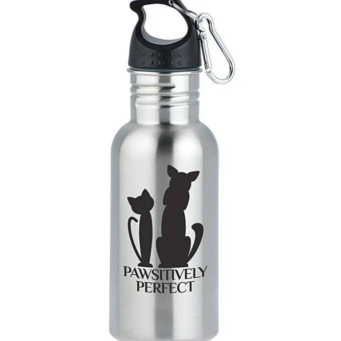 Stainless Adventure Bottle - 18 oz - 24 hr