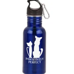 Stainless Adventure Bottle - 18 oz - 24 hr
