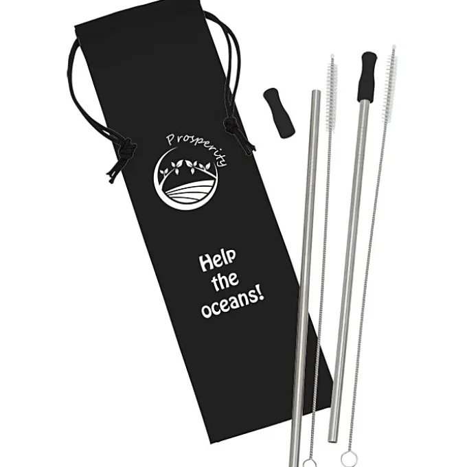 Stainless Steel Straw Set - 2 Pack