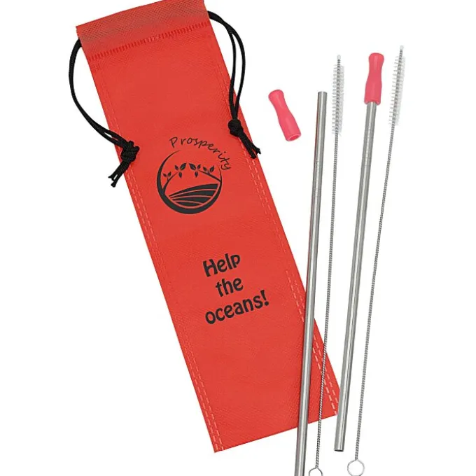 Stainless Steel Straw Set - 2 Pack