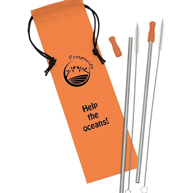 Stainless Steel Straw Set - 2 Pack - 24 hr
