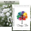 Standard Series Seed Packet - Baby's Breath