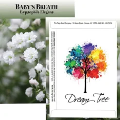 Standard Series Seed Packet - Baby's Breath
