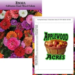 Standard Series Seed Packet - Giant Zinnia