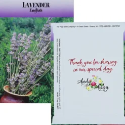 Standard Series Seed Packet - Lavender