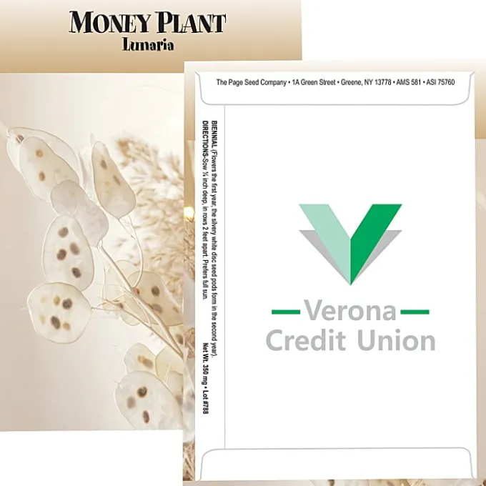 Standard Series Seed Packet - Money Plant