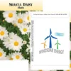 Standard Series Seed Packet - Shasta Daisy