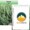 Standard Series Seed Packet - Thyme