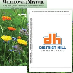 Standard Series Seed Packet - Wildflower Mix