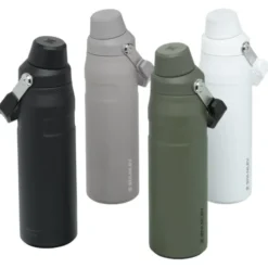 Stanley IceFlow Bottle with Fast Flow Lid - 24 oz.