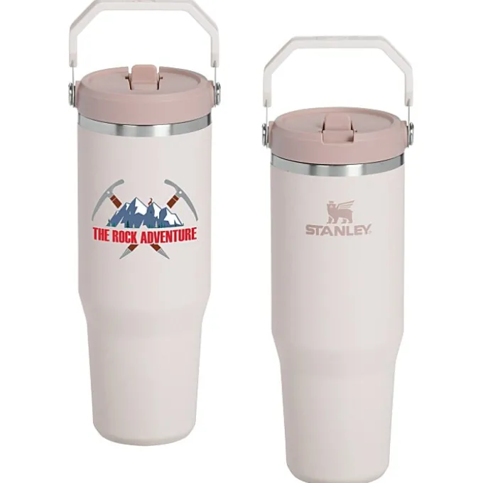 Stanley IceFlow Flip Straw Tumbler - 30 oz - Full Color
