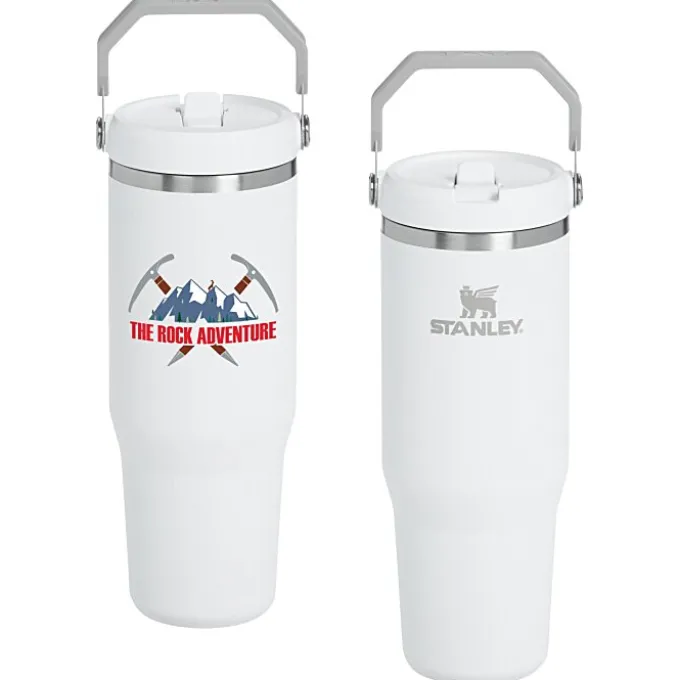 Stanley IceFlow Flip Straw Tumbler - 30 oz - Full Color