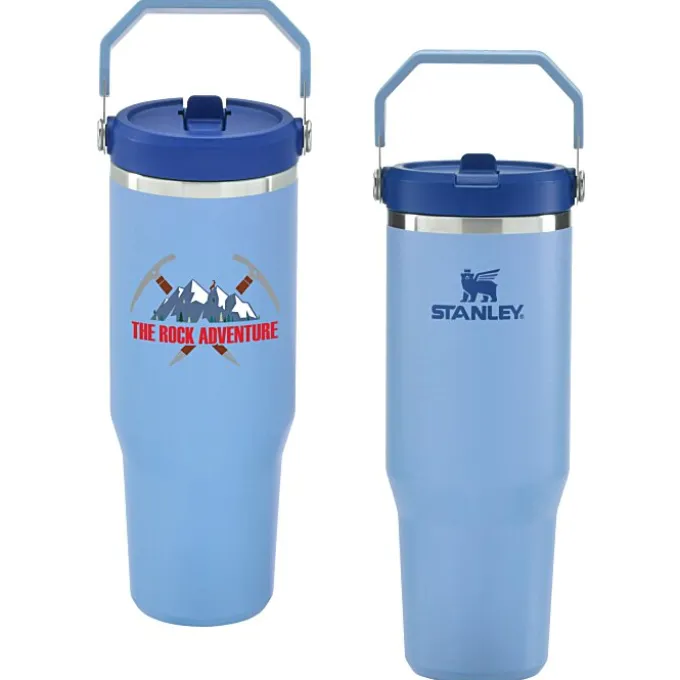 Stanley IceFlow Flip Straw Tumbler - 30 oz - Full Color