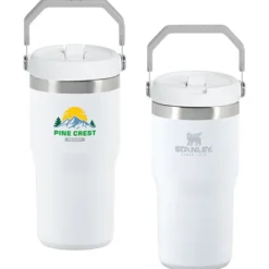 Stanley IceFlow Flip Straw Tumbler - 20 oz - Full Color