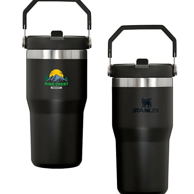 Stanley IceFlow Flip Straw Tumbler - 20 oz - Full Color
