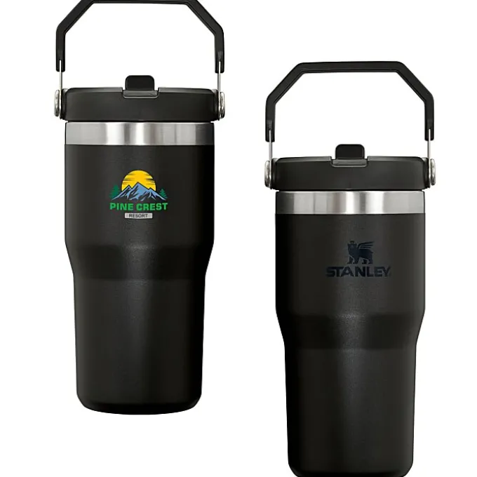 Stanley IceFlow Flip Straw Tumbler - 20 oz - Full Color