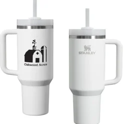 Stanley Quencher H2.0 FlowState Vacuum Mug with Straw - 40 oz - 24 hr