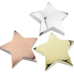 Star Paperweight