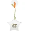 Sun Catcher Ornament - Star