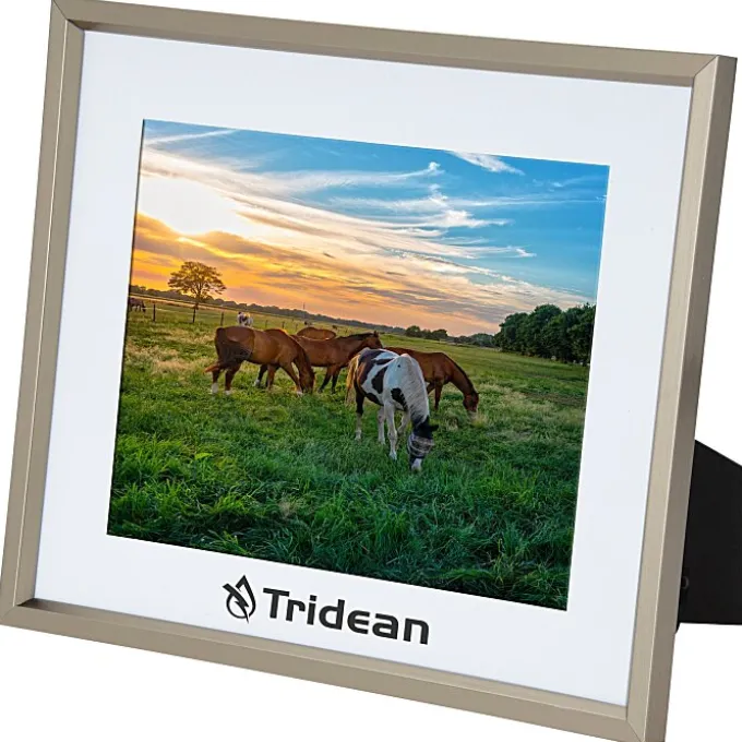 Tamar Photo Frame - 8 inches x 10 inches