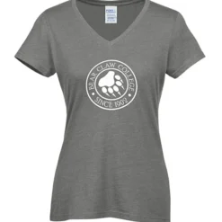 Team Favorite Blended V-Neck T-Shirt - Ladies'