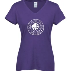 Team Favorite Blended V-Neck T-Shirt - Ladies'