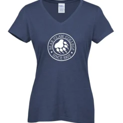 Team Favorite Blended V-Neck T-Shirt - Ladies'