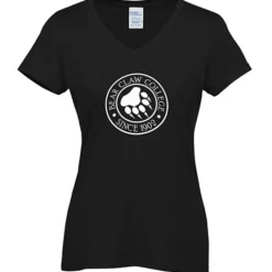Team Favorite Blended V-Neck T-Shirt - Ladies'