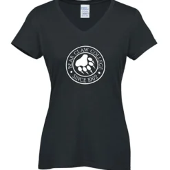 Team Favorite Blended V-Neck T-Shirt - Ladies'