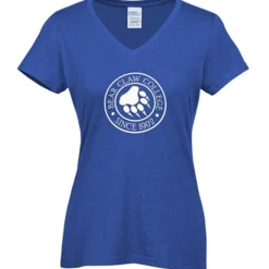 Team Favorite Blended V-Neck T-Shirt - Ladies'
