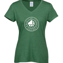 Team Favorite Blended V-Neck T-Shirt - Ladies'