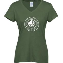 Team Favorite Blended V-Neck T-Shirt - Ladies'