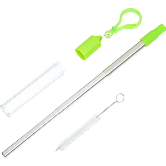 Telescopic Stainless Straw in Carabiner Case