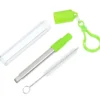 Telescopic Stainless Straw in Carabiner Case - Laser Engraved