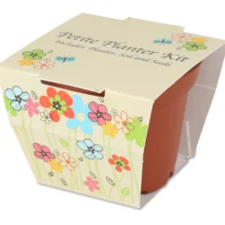 Terra Cotta Planter Kit - Medium