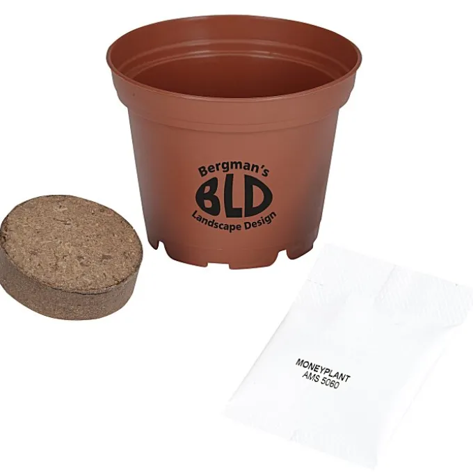 Terra Cotta Planter Kit - Medium